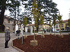 GORLA MAGGIORE - 20 Novembre 2011