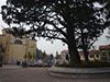 GORLA MAGGIORE - 20 Novembre 2011