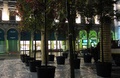 MILANO, Piazza DUOMO - 20 Novembre 2011
