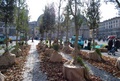 ROMA, Piazza Del Popolo - 20 Novembre 2011