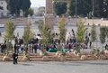 ROMA, Piazza Del Popolo - 20 Novembre 2011