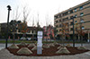 TREVIGLIO - 20 Novembre 2011