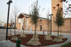 TREVIGLIO - 20 Novembre 2011