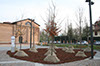 TREVIGLIO - 20 Novembre 2011