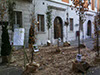 TRIESTE - 20 Novembre 2011