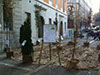 TRIESTE, P.zza Giovanni Astengo - 20 Novembre 2011